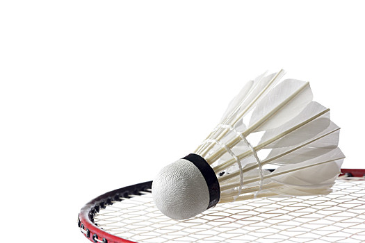 年龄曲线与 年龄曲线与